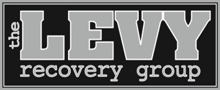 Levy Recovery Group Logo