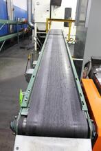 ROACH 12'x13" CONVEYOR SYSTEM | Levy Recovery Group (6)